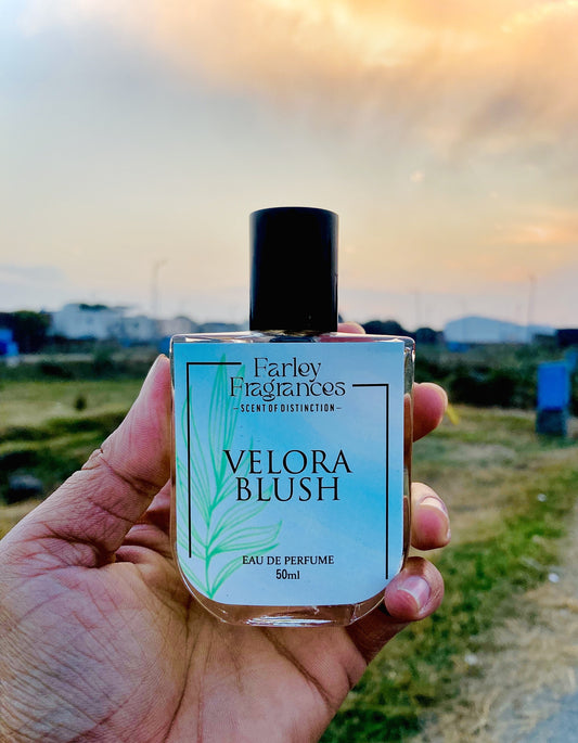 Velora Blush Inspired By Baccarat Rough 540